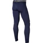 Тайтсы Nike Pro Hypercool | 828162-430