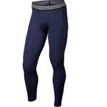 Тайтсы Nike Pro Hypercool | 828162-430
