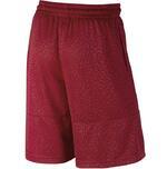 Шорты Jordan Elephant Print Blockout | 831372-687