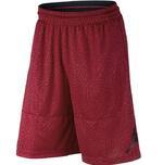Шорты Jordan Elephant Print Blockout | 831372-687