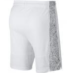 Баскетбольные шорты Nike | 831392-101