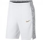 Баскетбольные шорты Nike | 831392-101