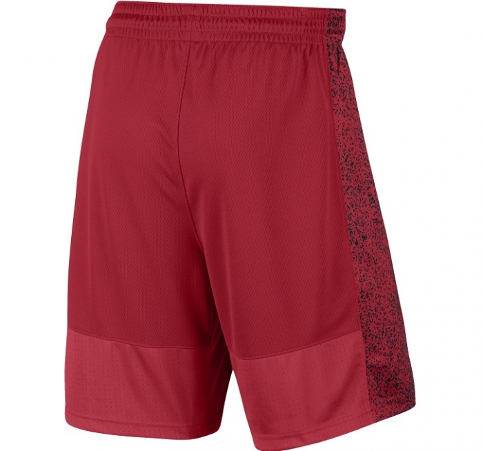 Купить Шорты Nike Basketball | 831392-657 в Москве или заказать доставку на Slamdunk.su