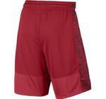 Шорты Nike Basketball | 831392-657