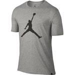 Футболка Jordan Iconic Jumpman | 834473-063