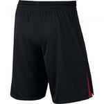 Шорты Jordan 23 Alpha Knit | 849143-010