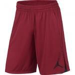 Шорты Jordan 23 Alpha Knit | 849143-687