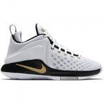 Баскетбольные кроссовки Nike Lebron Witness | 852439-102