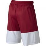 Баскетбольные шорты Jordan RISE 23 SHORT | 861465-687