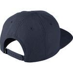 Кепка Nike Pro | 891284-410