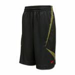 Баскетбольные шорты Nike Lebron Soldier Short  | 332894-010