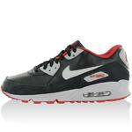 Кросссовки Nike Air Max 90 Premium | 333888-005