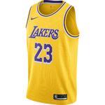 Джерси LeBron James Lakers Icon Edition | AA7099-741