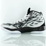 Баскетбольные кроссовки Air Jordan 2012 Lite EV - картинка