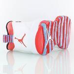 Кроссовки Air Jordan Retro 10 "Chicago" | 310805-114