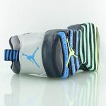 Кроссовки Air Jordan Retro 10 “Rio” | 310805-019