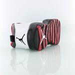 Баскетбольные кроссовки Air Jordan Retro 10 | 310805-102