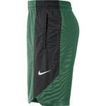Баскетбольные шорты Nike Boston Celtics | AJ5050-312