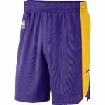 Баскетбольные шорты Nike Los Angeles Lakers Nike - картинка