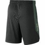 Баскетбольные шорты Nike Milwaukee Bucks Nike | AJ5083-010
