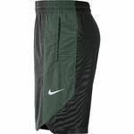 Баскетбольные шорты Nike Milwaukee Bucks Nike | AJ5083-010