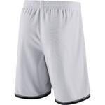 Шорты Brooklyn Nets | AJ5583-100