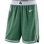 Баскетбольные шорты Nike Boston Celtics Icon Edition | AJ5587-312