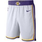 Баскетбольные шорты Nike Los Angeles Lakers - картинка