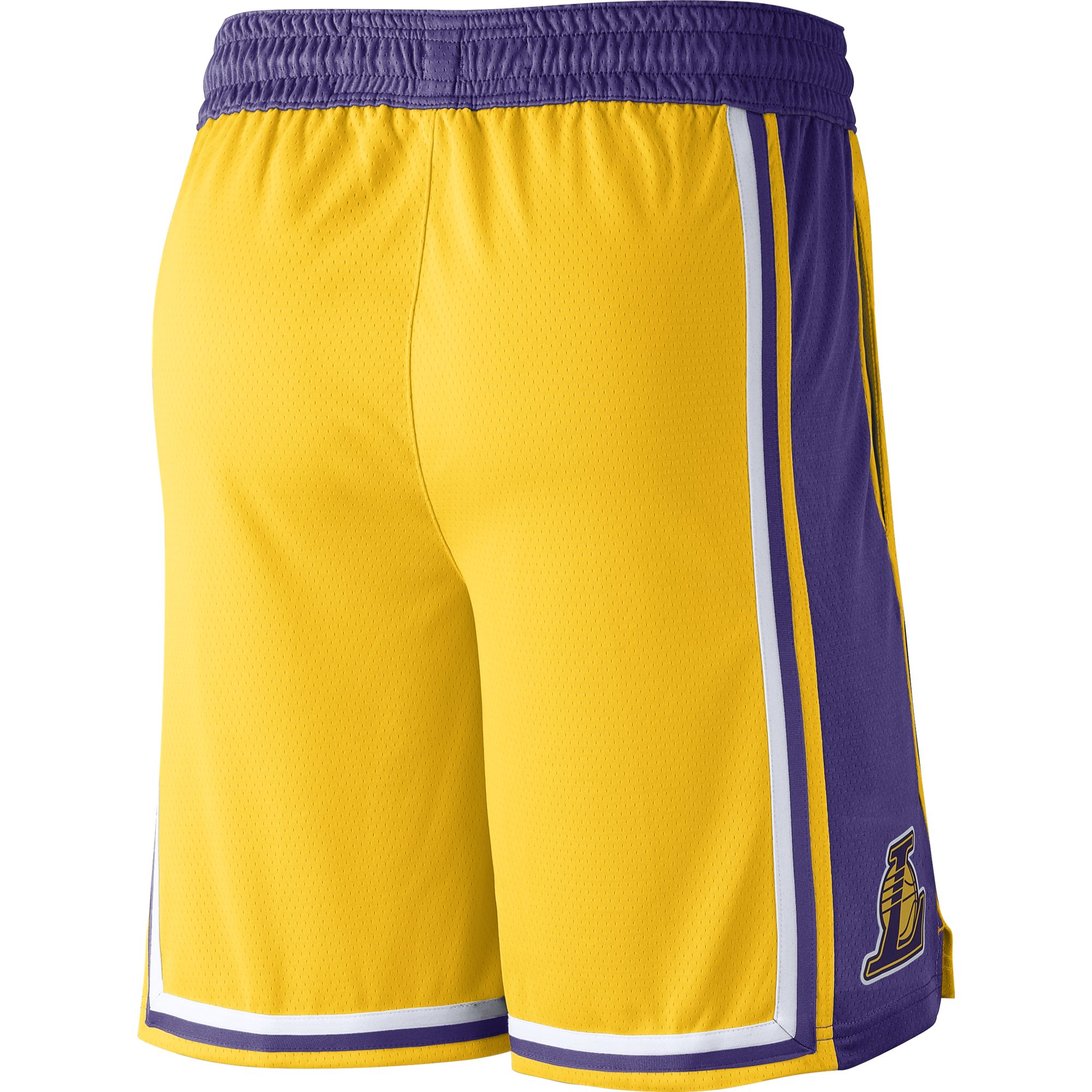 Купить Баскетбольные шорты Nike Los Angeles Lakers Icon Edition | AJ5617-728 в Москве или заказать доставку на Slamdunk.su