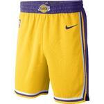 Баскетбольные шорты Nike Los Angeles Lakers Icon Edition - картинка