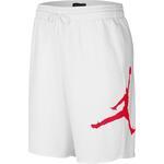 Шорты Air Jordan Jumpman Fleece Short - картинка