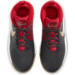 Детские баскетбольные кроссовки Nike Team Hustle D 9 | AQ4224-011