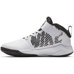 Детские баскетбольные кроссовки Nike Team Hustle D 9 (PS) | AQ4225-100