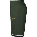 Баскетбольные шорты Nike Dri-FIT Classic | AQ5600-375