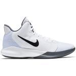 Баскетбольные кроссовки Nike Precision III | AQ7495-100