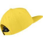 Кепка Jordan Pro Jumpman Snapback | AR2118-719
