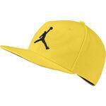 Кепка Jordan Pro Jumpman Snapback | AR2118-719