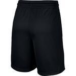 Шорты Nike Dri-FIT | AT3288-010