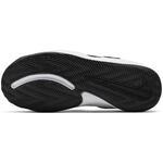 Детские баскетбольные кроссовки Nike Team Hustle Quick 2 | AT5299-002