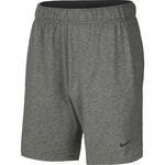 Штаны Nike Dri-FIT | AT5693-032