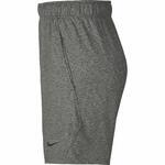 Штаны Nike Dri-FIT | AT5693-032