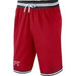 Баскетбольные шорты Nike Chicago Bulls Nike | AV0130-657