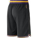 Баскетбольные шорты Nike Los Angeles Lakers  | AV0148-010