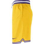 Баскетбольные шорты Nike Los Angeles Lakers  - картинка