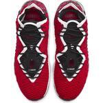 Баскетбольные кроссовки Nike Lebron XVII - картинка