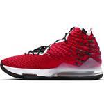 Баскетбольные кроссовки Nike Lebron XVII | BQ3177-601