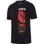 Nike Dri-FIT LeBron | BQ3628-010