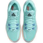 Баскетбольные кроссовки Nike Zoom Freak 1 | BQ5422-300