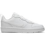 Кроссовки Nike Court Borough Low 2 | BQ5448-100