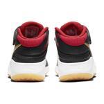 Баскетбольные кроссовки Nike Team Hustle D 9 FlyEase | BV2952-003